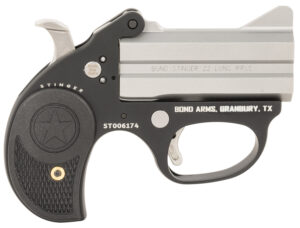Bond Arms BASL Stinger  22 LR 2rd, 3" Double Stainless Steel Barrel
