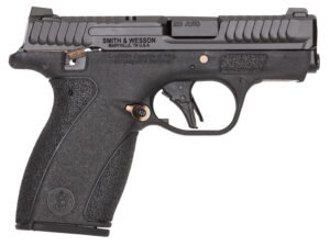 S&W BODYGRD 2.0 380ACP 14660 TS RGPVD
