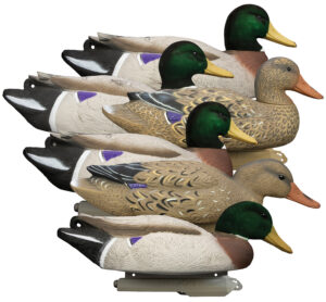 Higdon Outdoors 16034 Battleship  Oversized Mallards Species Multi Color Foam Filled Features Flocked Heads 6 Pack