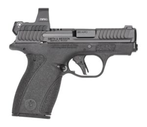 S&W BODYGRD 2.0    14786 380 2.75    RFX1   10/12R